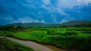 A river running through a lush green monsoon field under cloudy skies in rural India